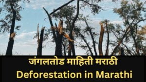 जंगलतोड माहिती मराठी Information of Deforestation in Marathi