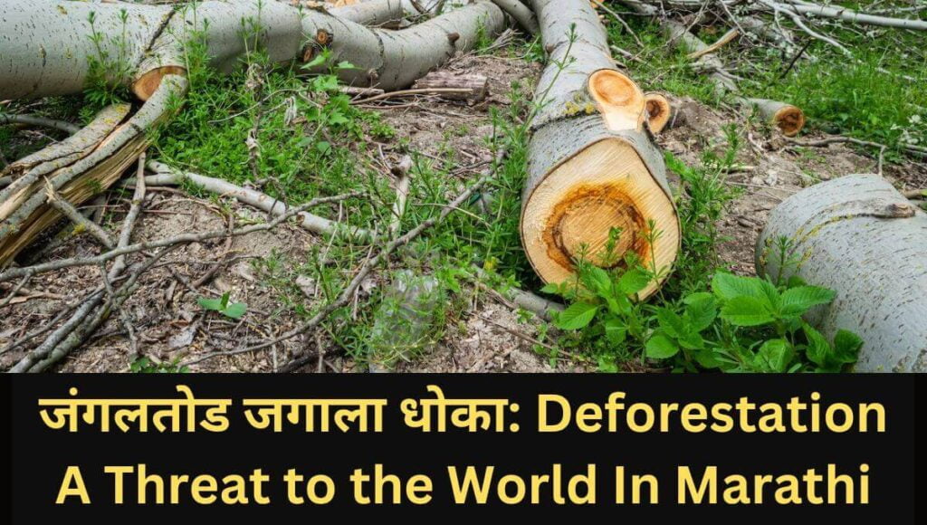 जंगलतोड माहिती मराठी Information of Deforestation in Marathi