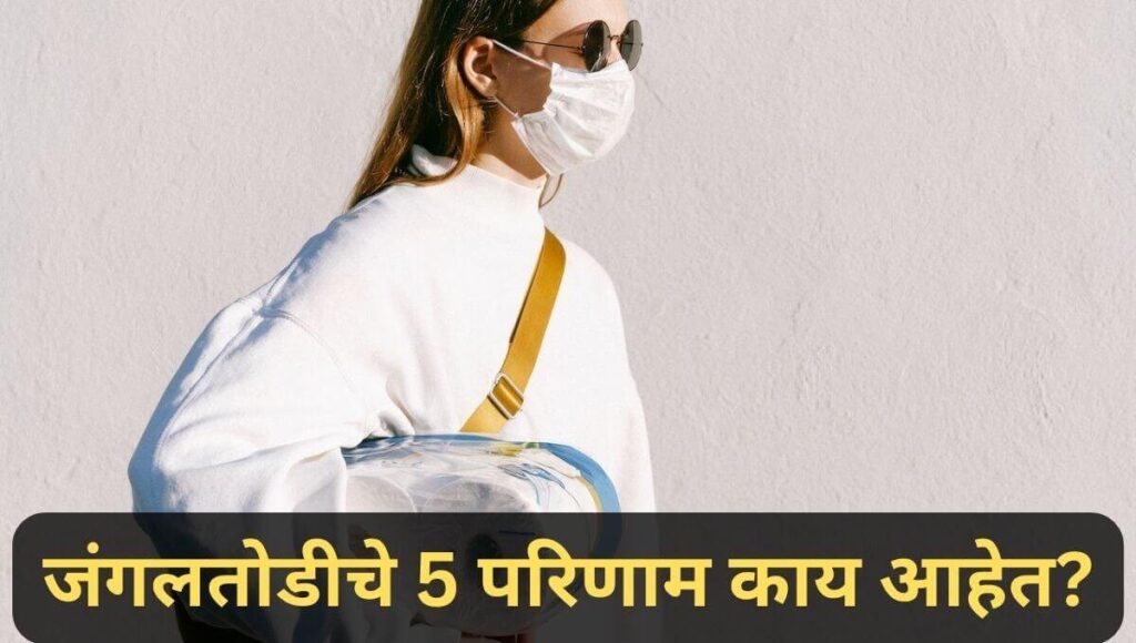 जंगलतोड माहिती मराठी Information of Deforestation in Marathi