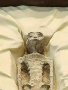 Dead bodies of aliens surfaced for the first time in the world