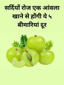 amla benefits, आंवला खाने के फायदे, आंवला के उपयोग